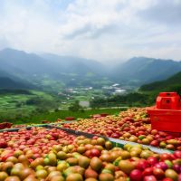 Xổ số Miền Trung Cả Tháng, Số Miền Trung, Kết Quả Xổ số Miền Trung, Xổ số Trực tuyến