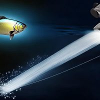 Dây cao su bắn cá – Phụ kiện điều khiển cá bắn cá, Chọn thương hiệu uy tín